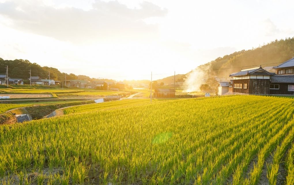 田舎の風景