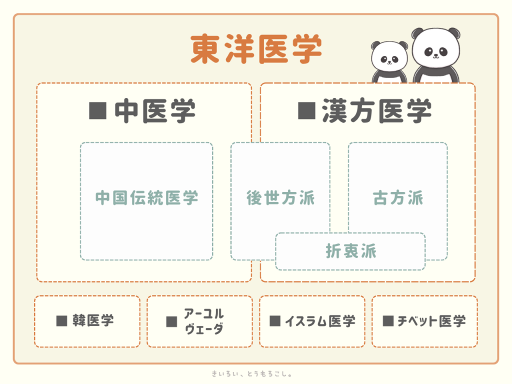 中医学漢方医学違い図解２